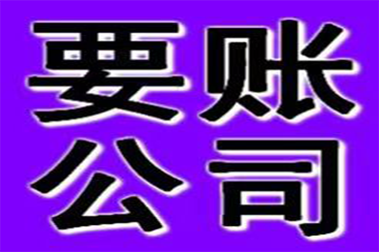 担保人面临借款人欠款未还时的法律途径